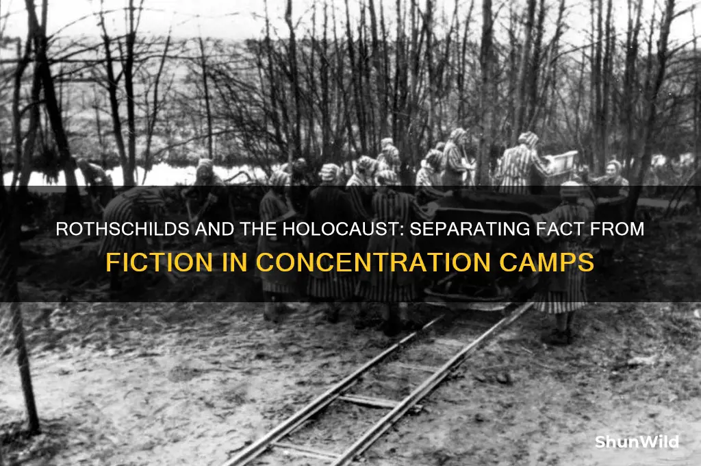 did rothschilds really die in concentration camps