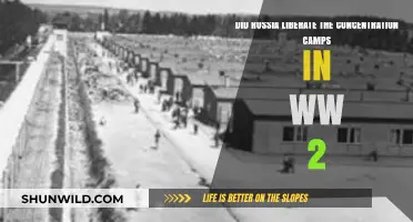 Russia's Role in Liberating WWII Concentration Camps: Fact or Fiction?
