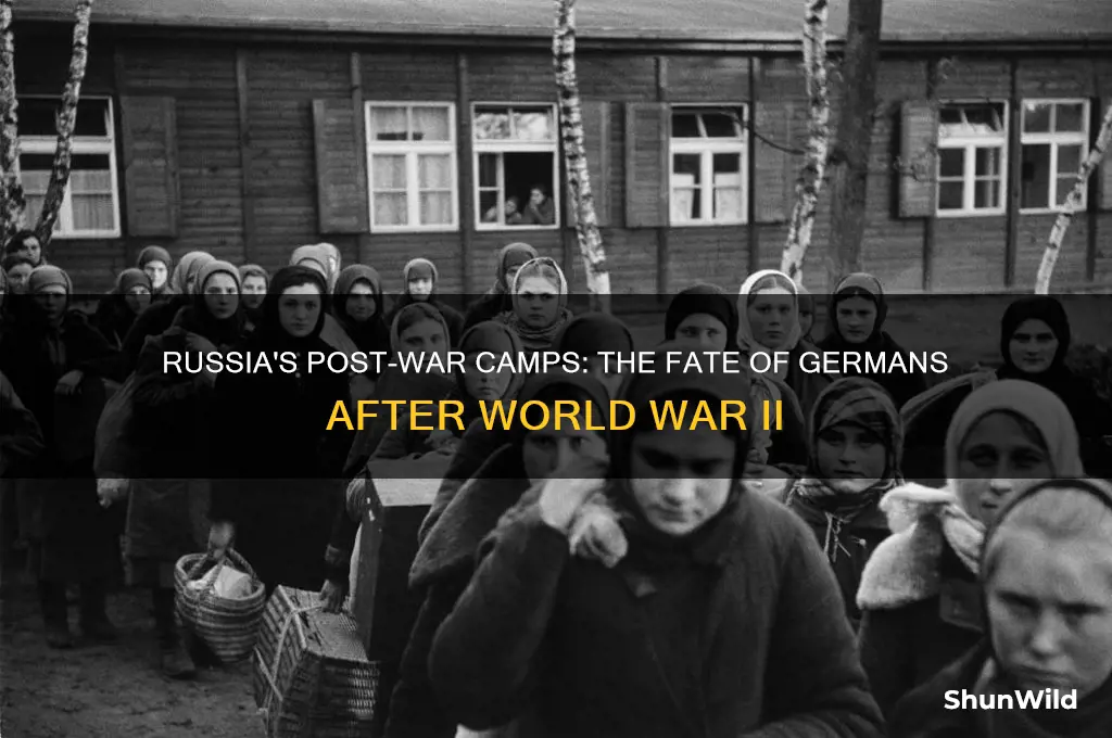 did russia put germans in concentration camps after the war