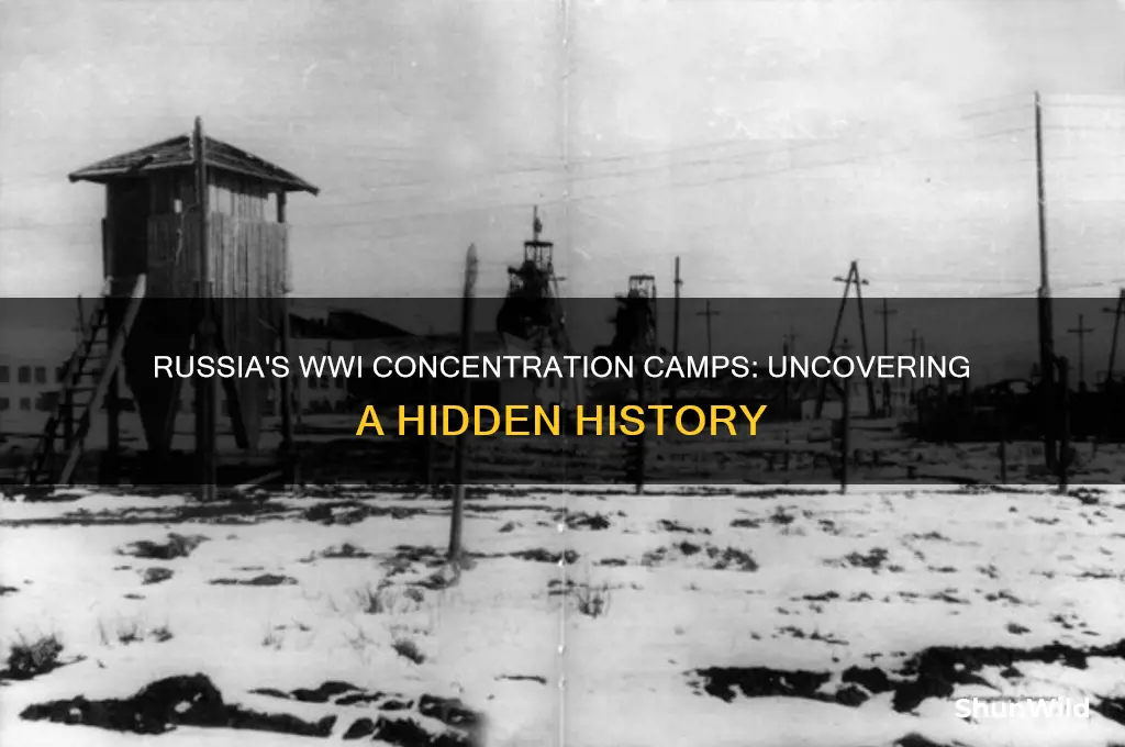 did russia use concentration camps in world war i