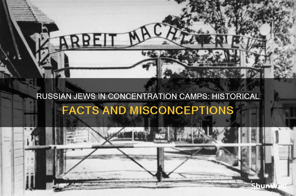 did russian jews get sent to concentration camps