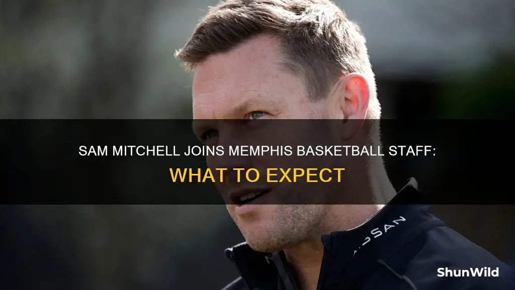 did sam mitchell except gointing memphis basketball staff