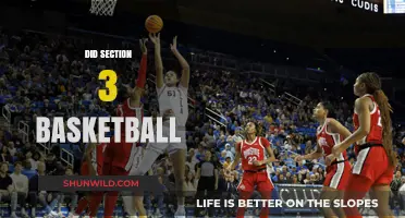 Basketball Dreams: Section 3's Road to Glory