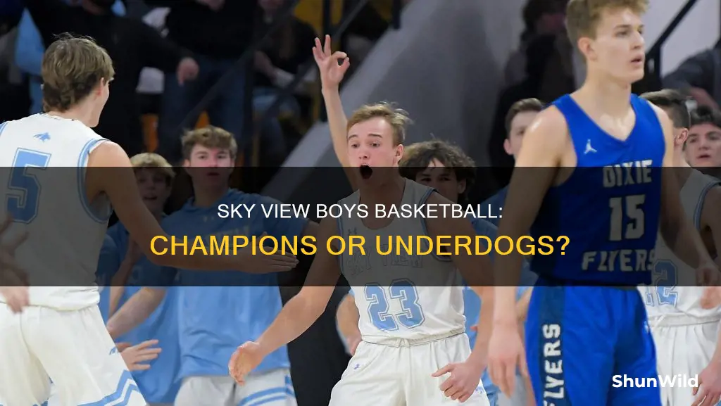 did sky view boys basketball win