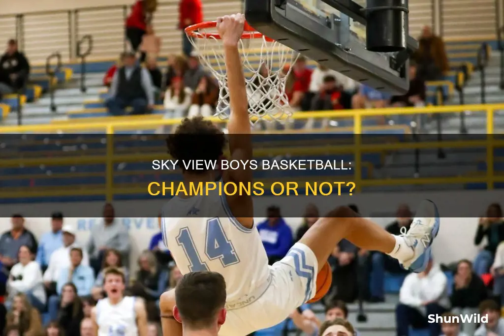 did sky view boys basketball win