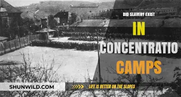 Slavery in Concentration Camps: Uncovering the Hidden History of Forced Labor