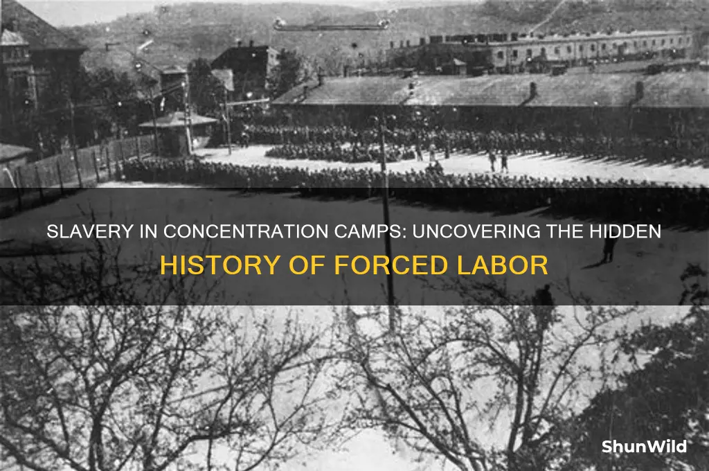 did slavery exist in concentration camps