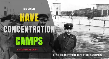 Stalin's Gulag System: Uncovering the Soviet Union's Concentration Camps