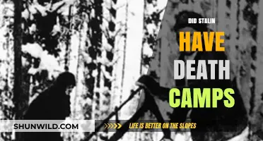 Stalin's Gulag System: Were They Death Camps in Disguise?