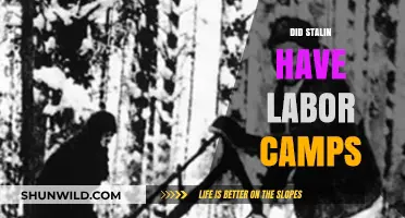 Stalin's Labor Camps: Uncovering the Brutal Soviet Gulag System