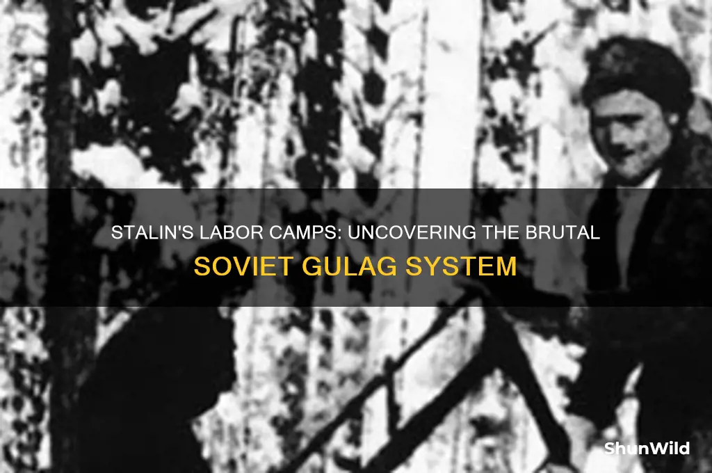 did stalin have labor camps
