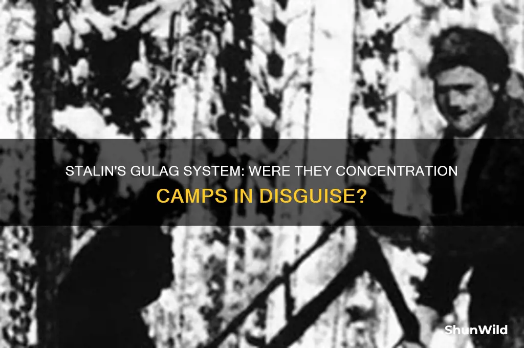 did stalin make concentrarion camps