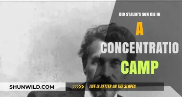 Stalin's Son: The Tragic Fate in a Concentration Camp?