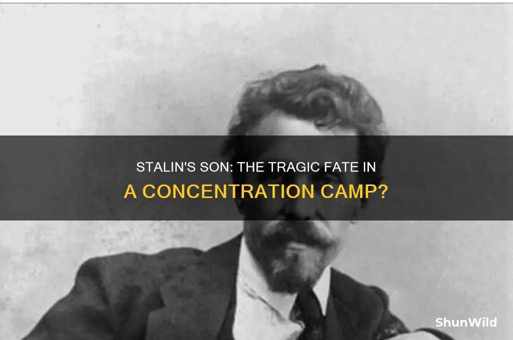 did stalin