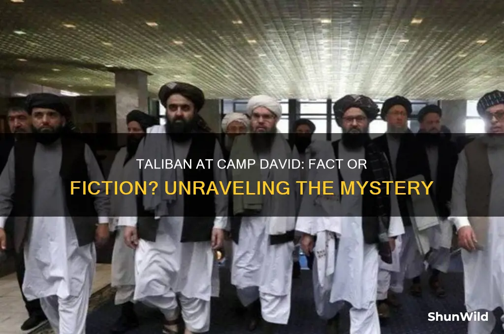did taliban visit camp david