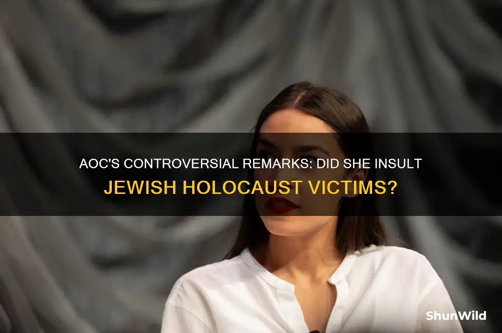 did the aoc talk bad about jews in concentration camps
