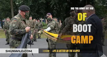 Army Boot Camp Changes: What's Replaced the Traditional Training?