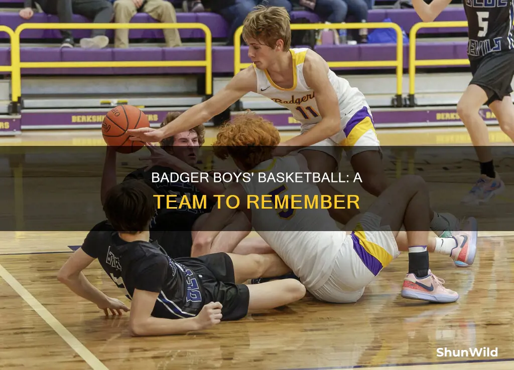 did the boys badger basketball