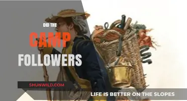 Camp Followers: Unsung Heroes or Misunderstood Figures in Military History?