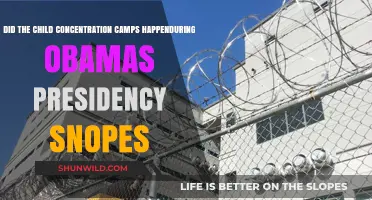 Child Concentration Camps Under Obama: Separating Fact from Fiction