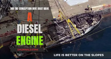 The Conception Dive Boat: Diesel Engine Disaster?