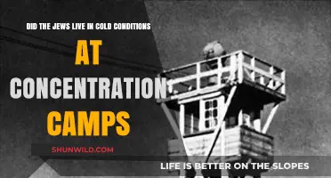 Harsh Winters in Nazi Camps: Jewish Survival Amidst Extreme Cold