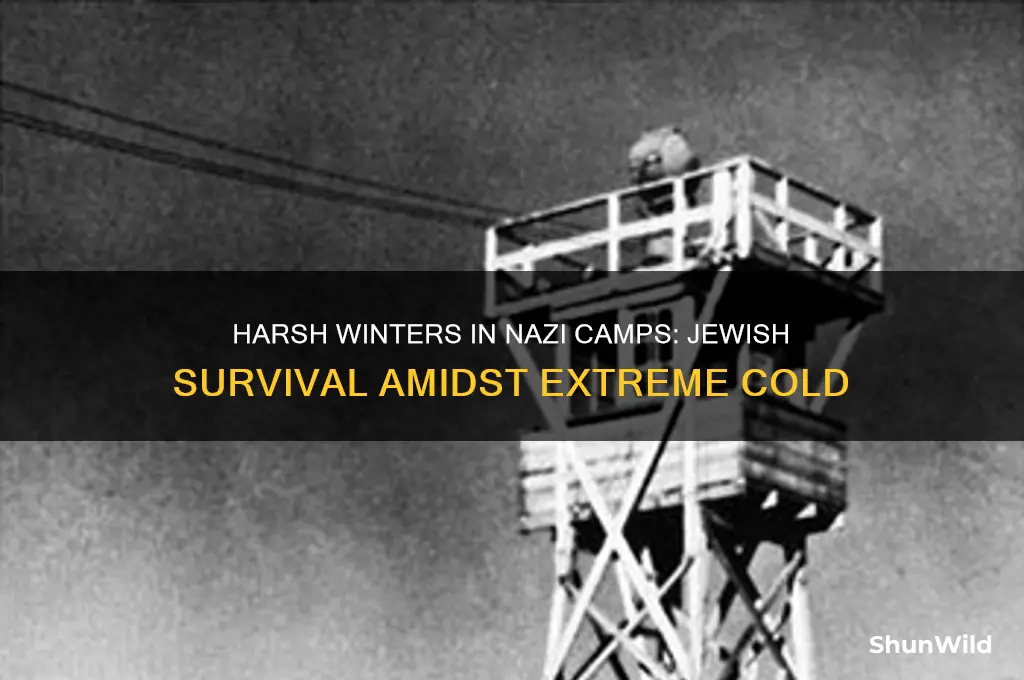 did the jews live in cold conditions at concentration camps