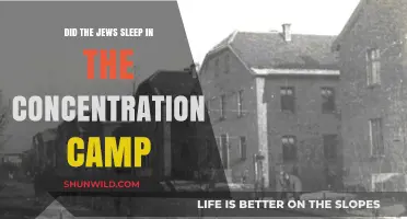 Life in Concentration Camps: Did Jews Sleep Amidst Horror?