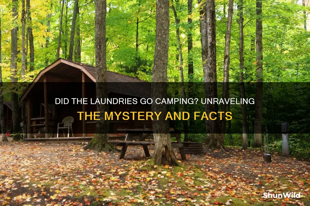 did the laundries go camping