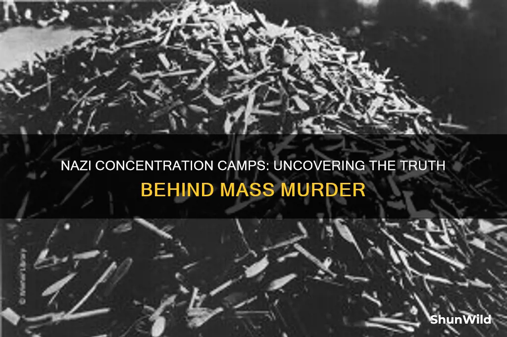 did the nazis mass murder those in concentration camps