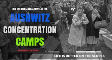 Did Russian Forces Liberate Auschwitz Concentration Camp in WWII?
