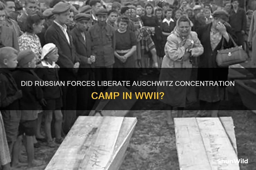 did the russians arrive at the aushwitz concentration camps