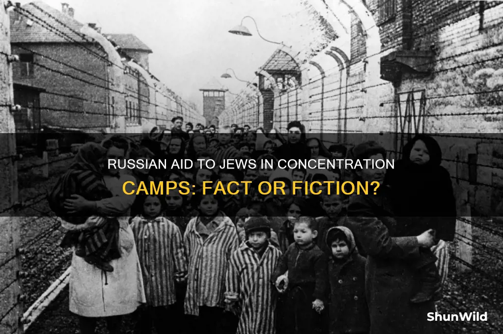 did the russians help the jews in tbe concentration camps