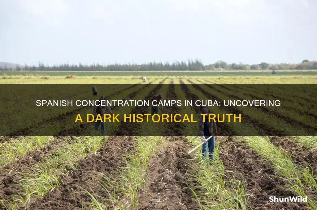 did the spanish put cubans in concentration camps
