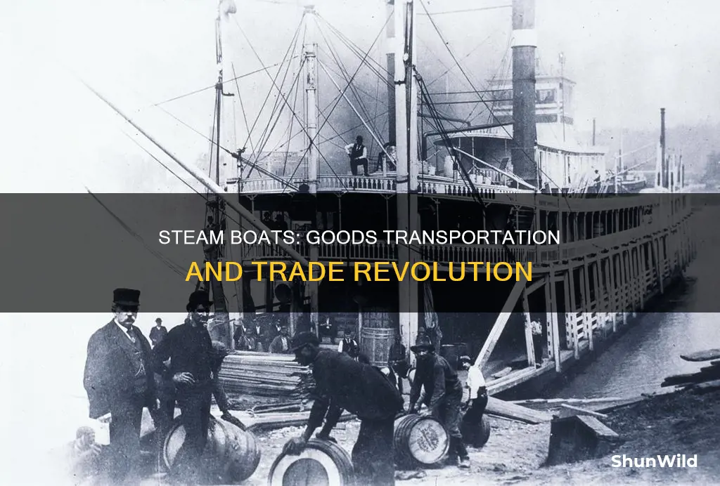 did the steam boat transport goods