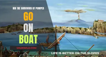 Boat Escape: Survivors of Pompeii's Fate