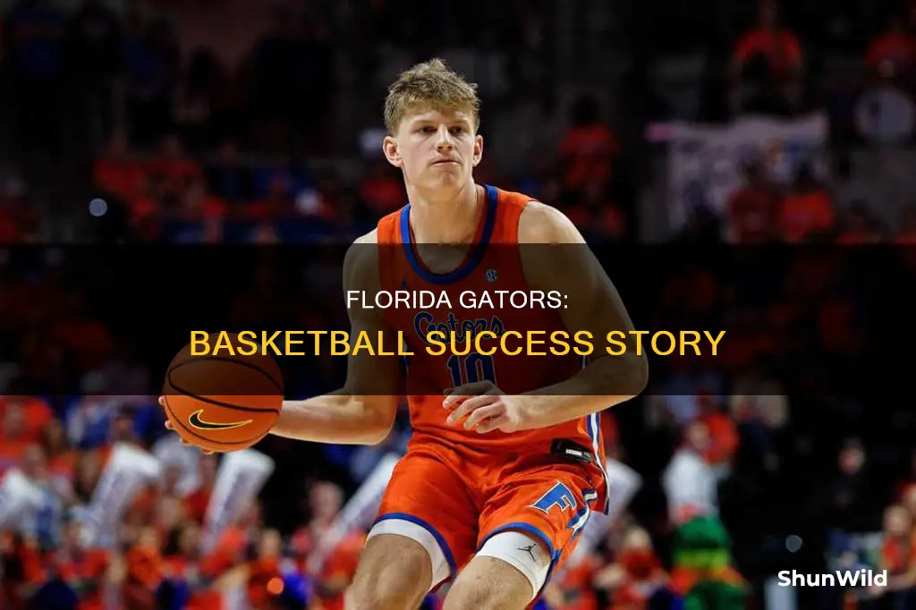 did the university of florida gator basketball