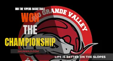 Vipers Basketball Team's Victory: Championship Dreams Come True