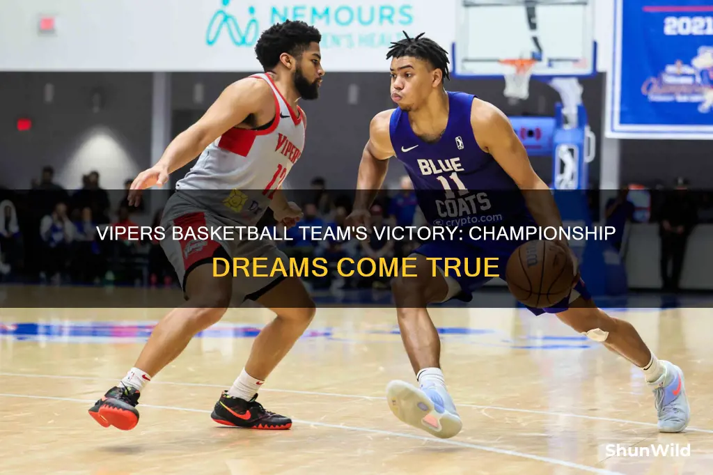 did the vipers basketball won the championship