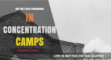 Were Romanians Imprisoned in Concentration Camps During World War II?