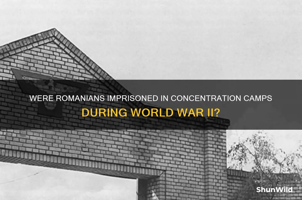 did they held romanians in concentration camps