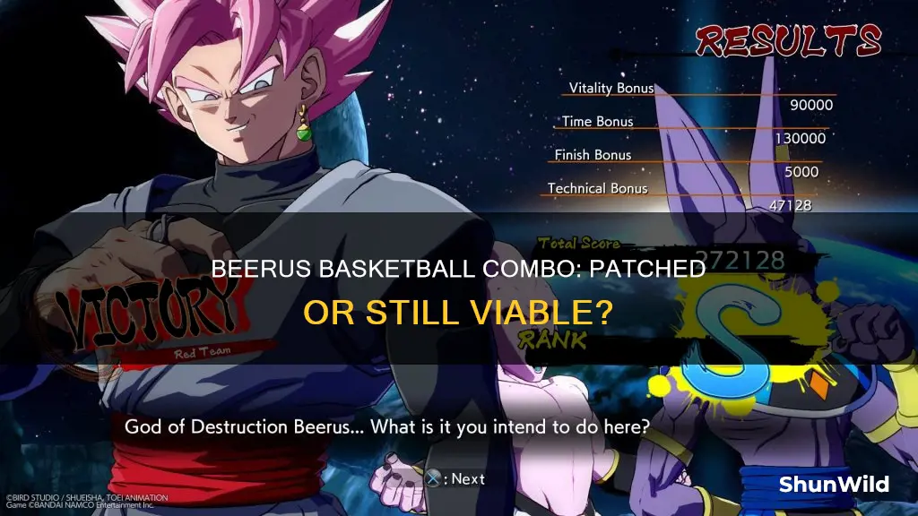 did they patch the beerus basketball combo