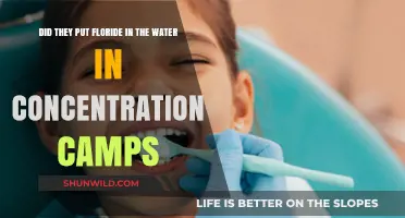 Unveiling the Truth: Fluoride in Concentration Camp Water Supplies