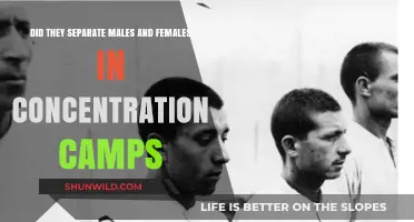 Gender Segregation in Concentration Camps: Separating Males and Females