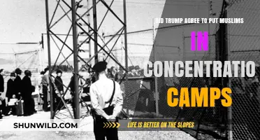 Trump's Stance on Muslim Concentration Camps: Fact vs. Fiction