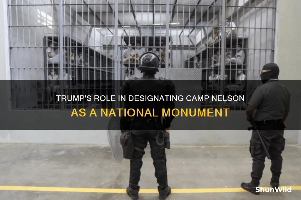 did trump designate camp nelson