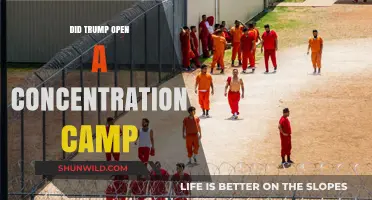 Trump's Immigration Policies: Were Detention Centers Equivalent to Concentration Camps?
