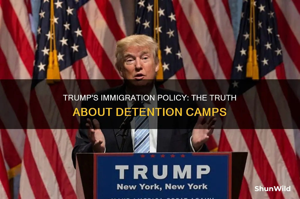 did trump start detention camps