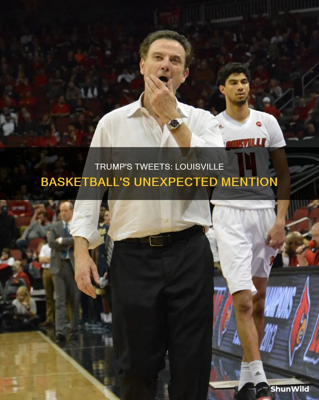 did trump tweet about u of l basketball
