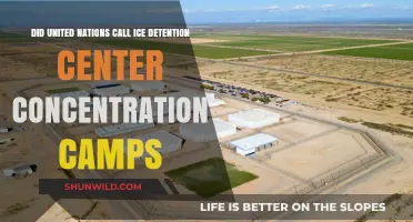UN's Stance: Are ICE Detention Centers Concentration Camps?